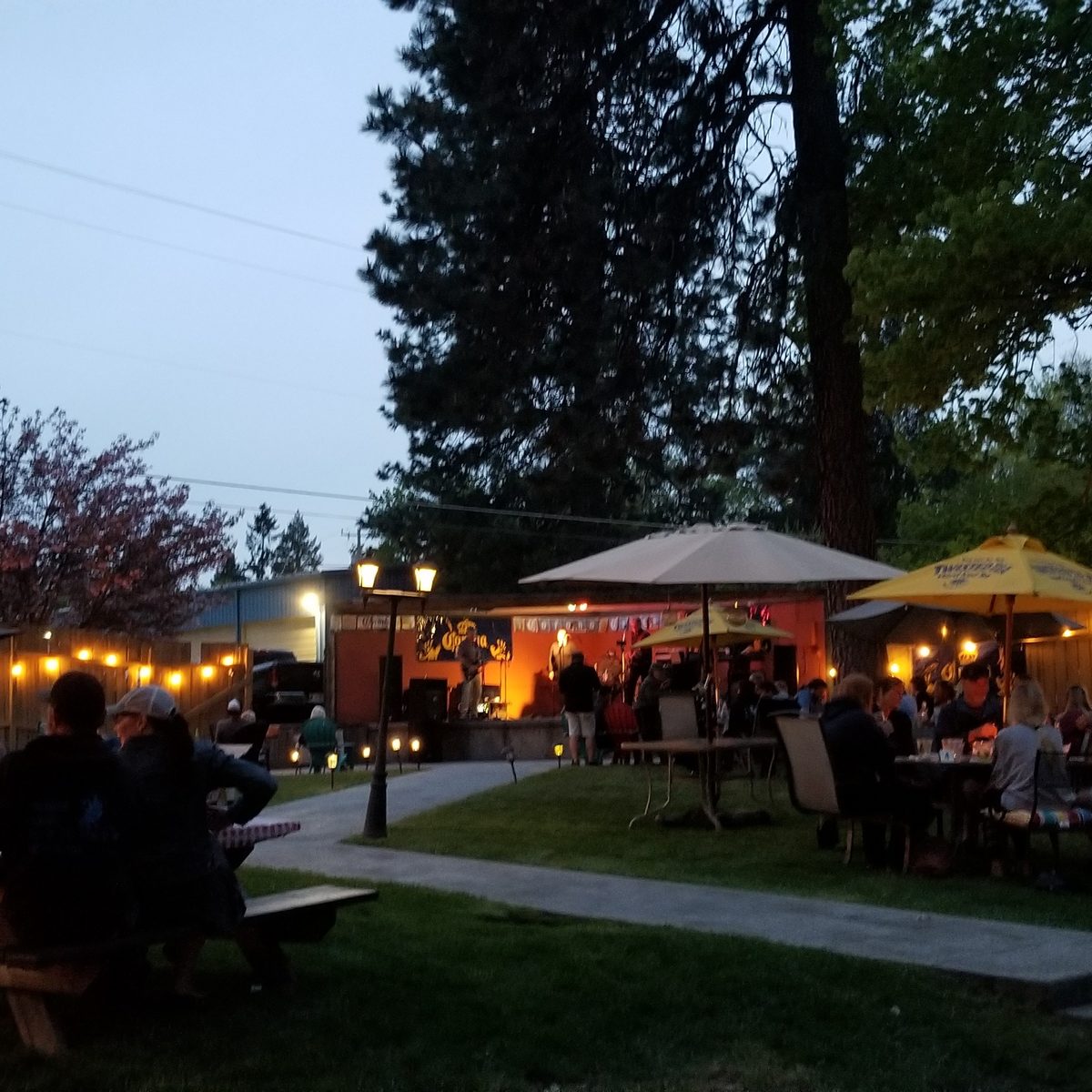 Live Music in the Beer Garden